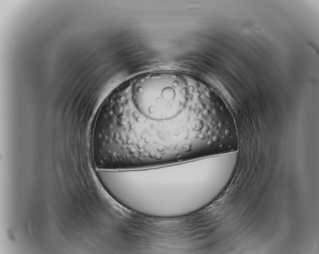 X0000097301483200802151110