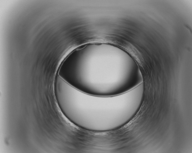 X0000097301484200802151110