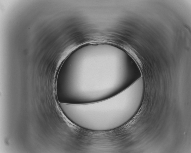 X0000097301485200802151110