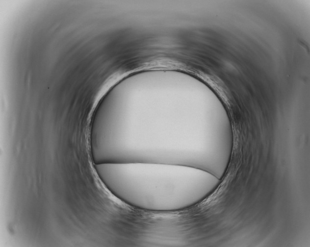 X0000097301486200802151110