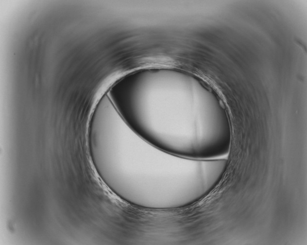 X0000097301488200802151110