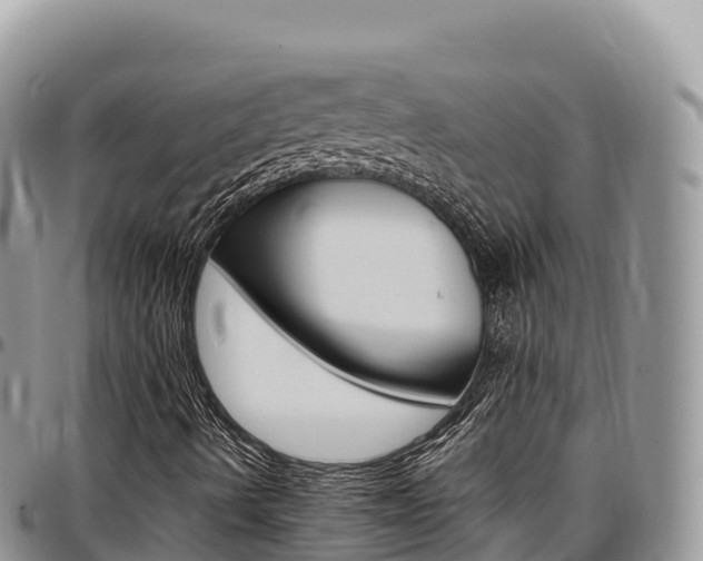 X0000097301490200802151110