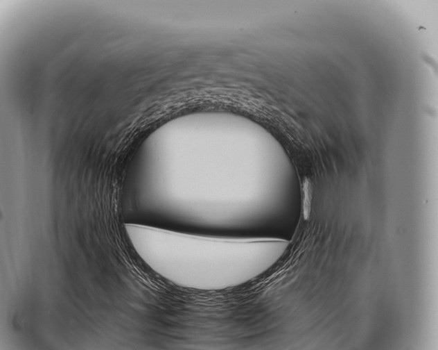X0000097301491200802151110