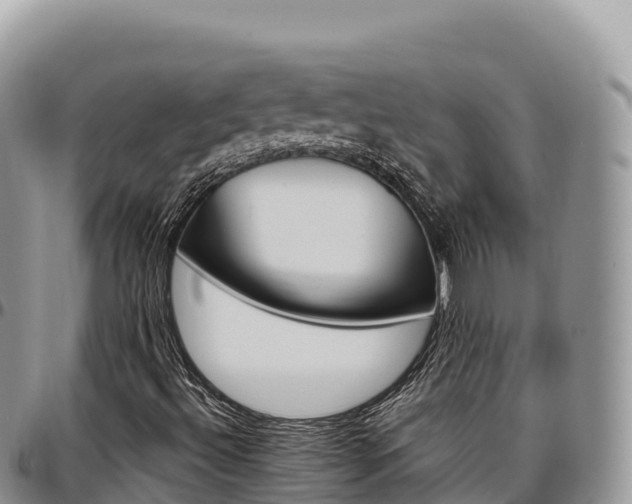 X0000097301492200802151110
