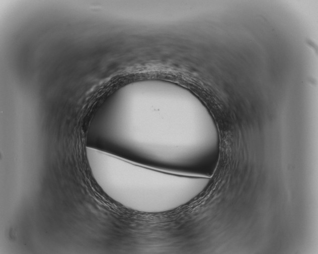 X0000097301493200802151110