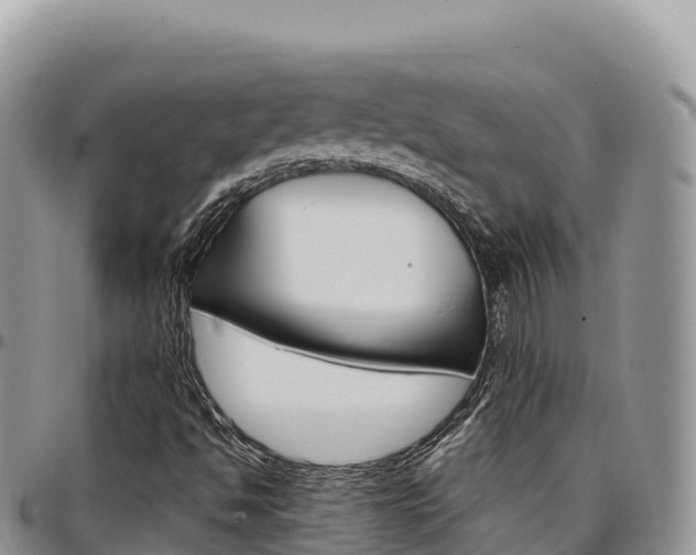 X0000097301494200802151110