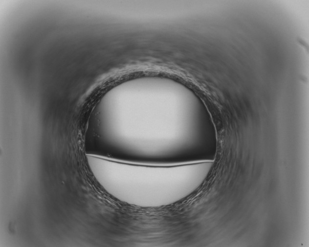X0000097301495200802151110