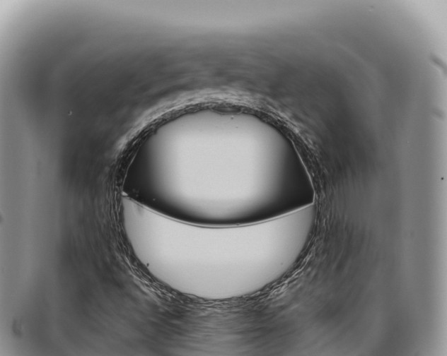 X0000097301496200802151110