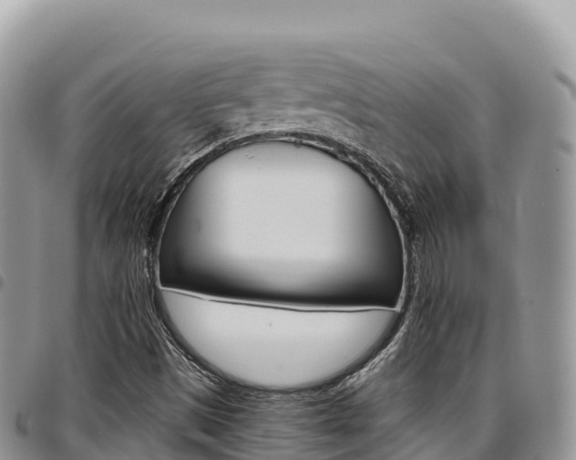 X0000097301497200802151110