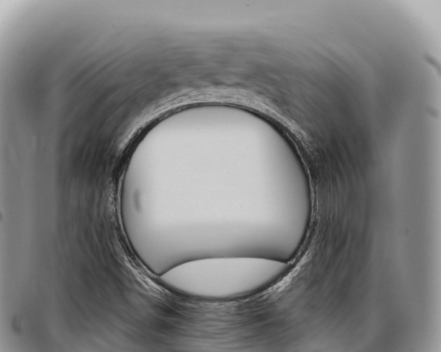 X0000097301498200802151110