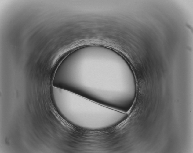 X0000097301499200802151110