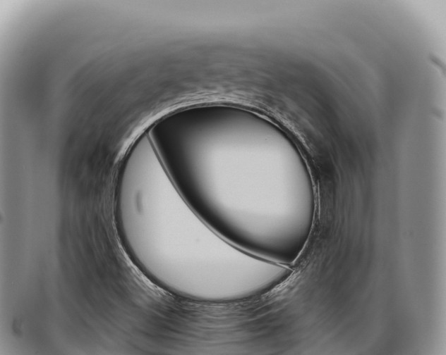 X0000097301500200802151110