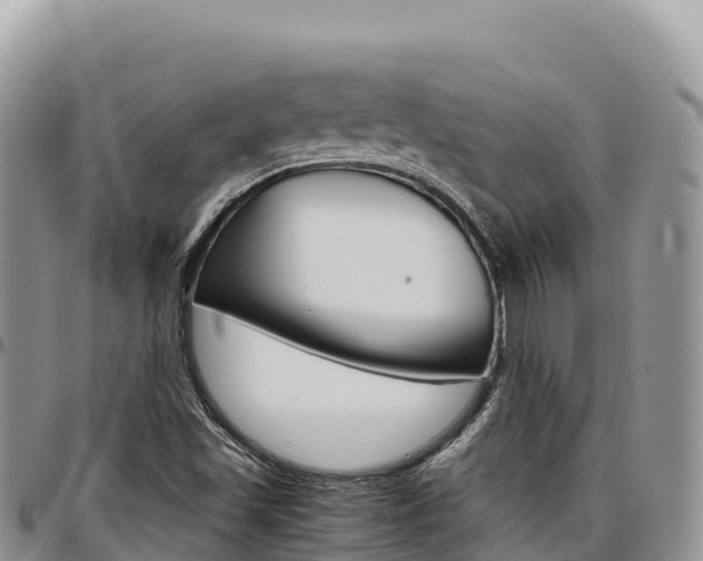 X0000097301501200802151110
