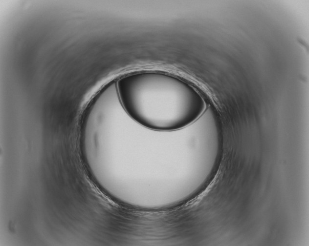 X0000097301502200802151110