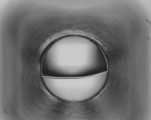 X0000097301503200802151110
