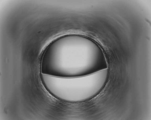 X0000097301504200802151110