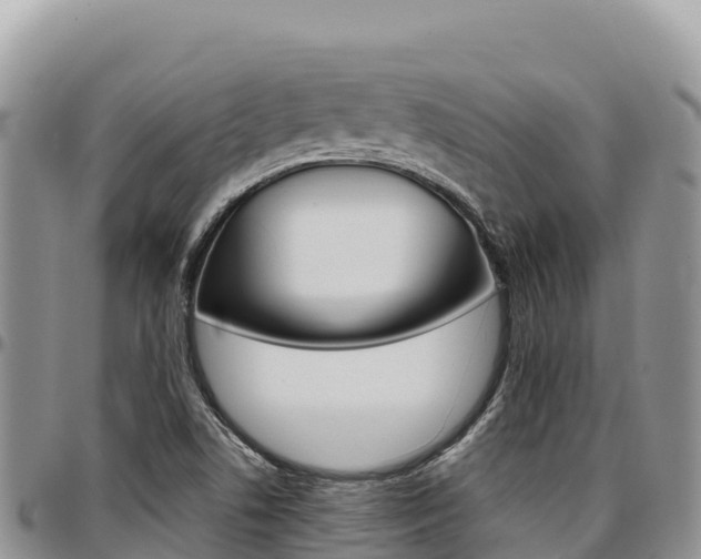 X0000097301506200802151110