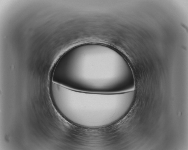X0000097301508200802151110