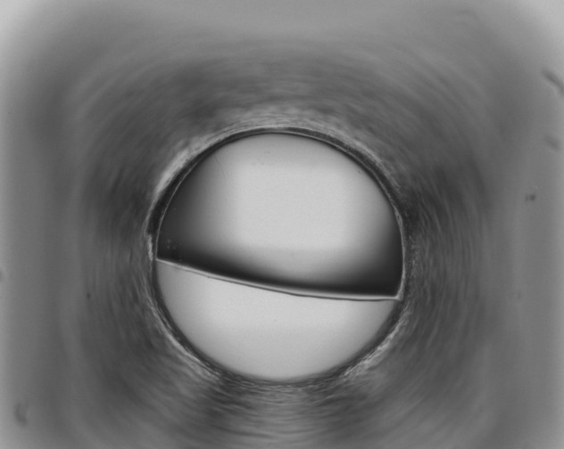 X0000097301509200802151110