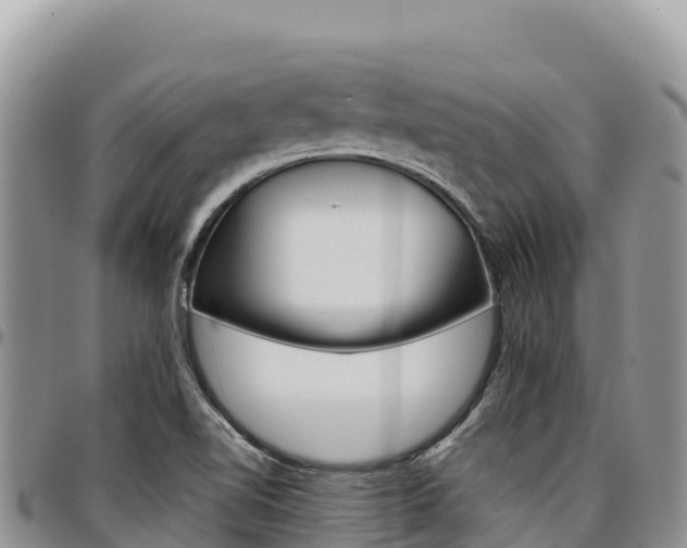 X0000097301510200802151110