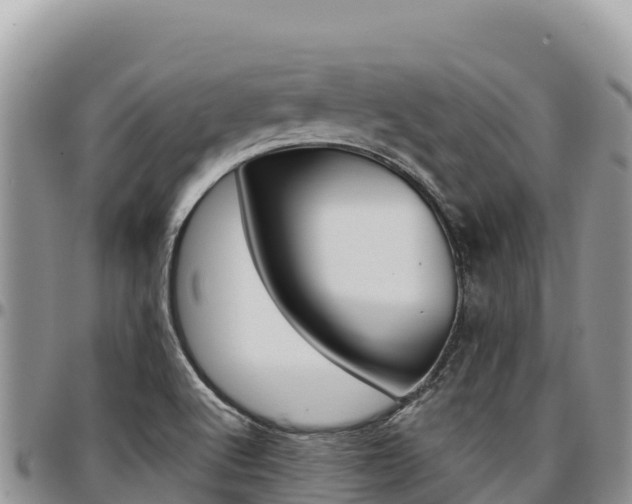 X0000097301512200802151110