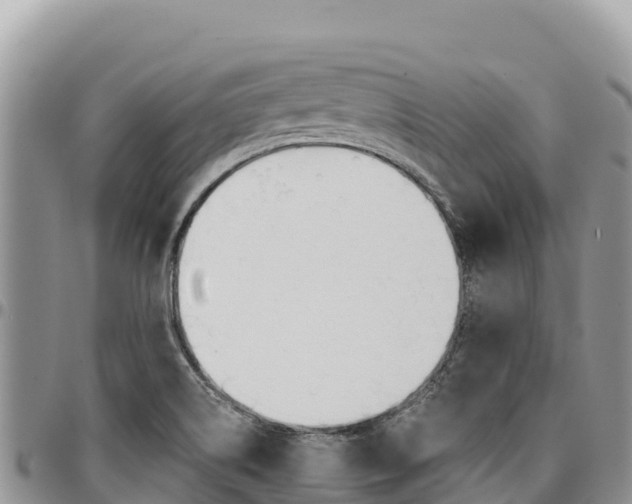 X0000097301514200802151110