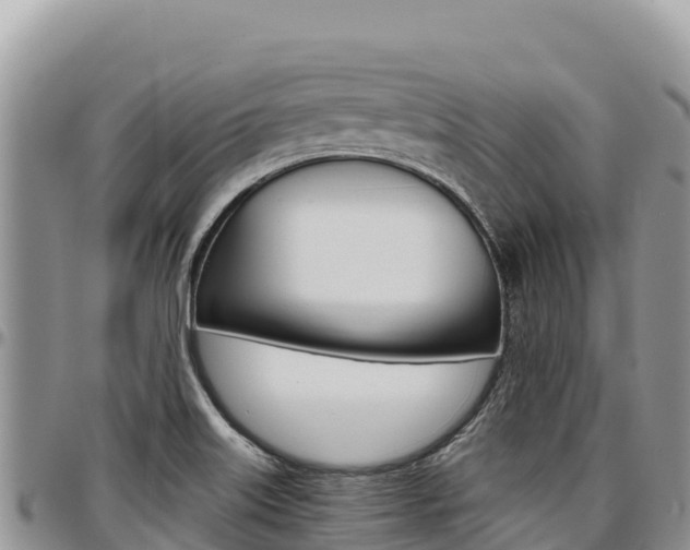 X0000097301515200802151110