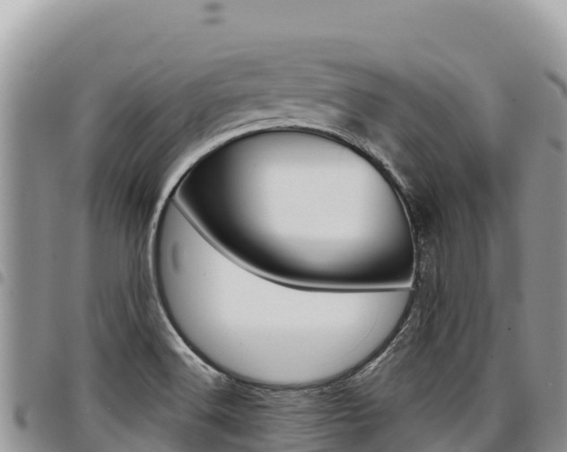 X0000097301516200802151110