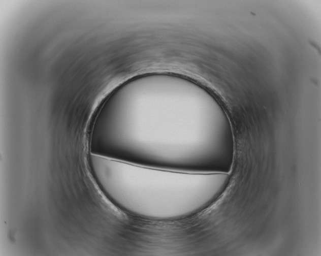 X0000097301517200802151110