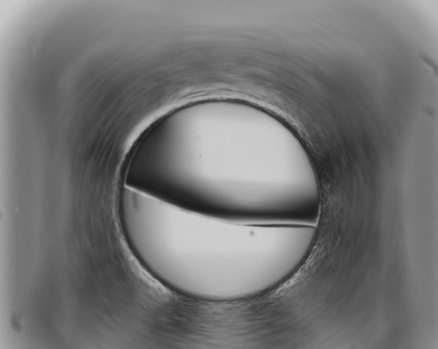 X0000097301518200802151110