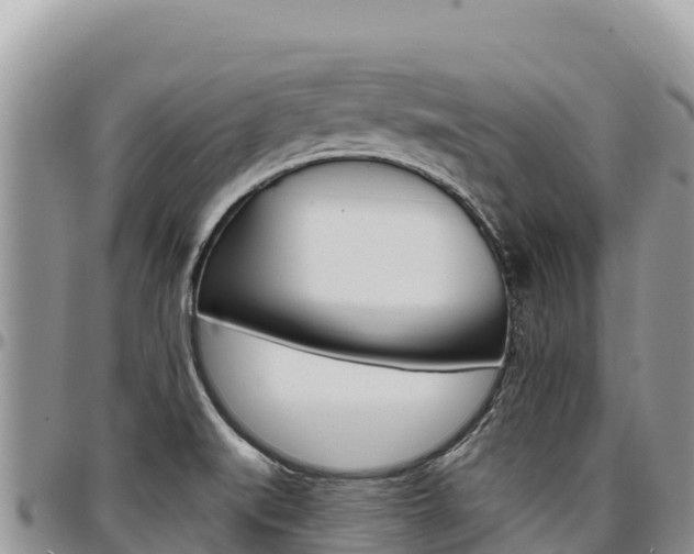 X0000097301519200802151110