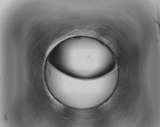 X0000097301520200802151110