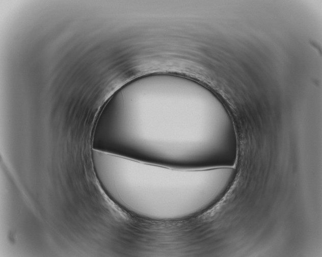 X0000097301521200802151110