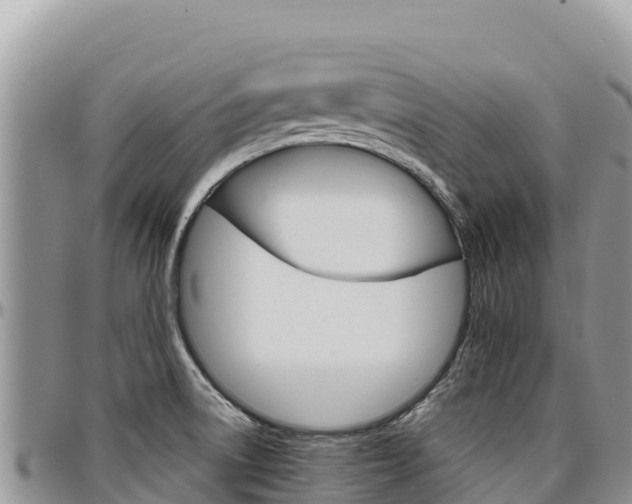 X0000097301522200802151110