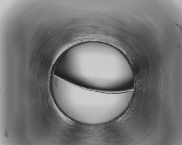 X0000097301523200802151110