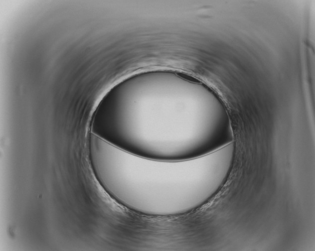X0000097301524200802151110