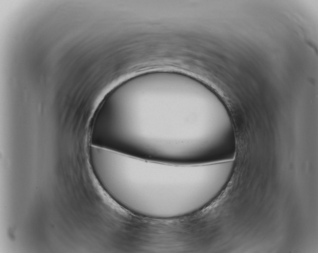 X0000097301526200802151110