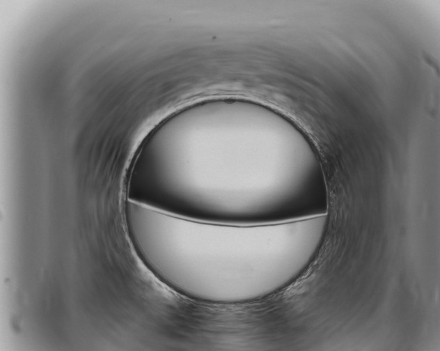 X0000097301527200802151110