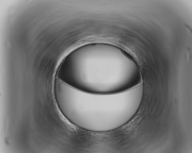 X0000097301528200802151110