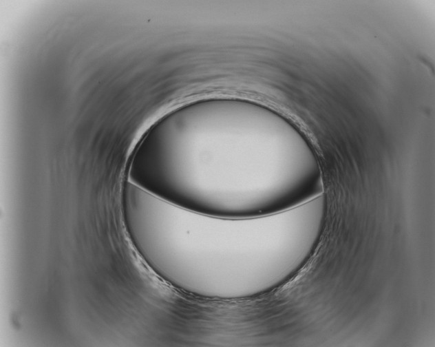 X0000097301530200802151110