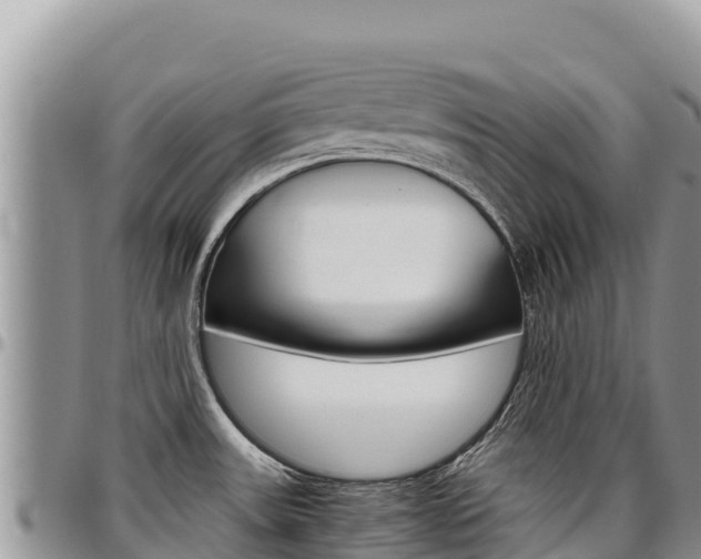 X0000097301531200802151110