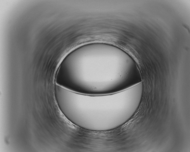 X0000097301532200802151110