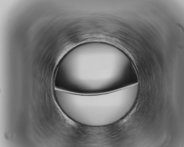 X0000097301533200802151110