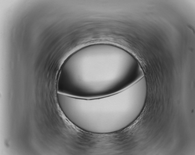 X0000097301534200802151110