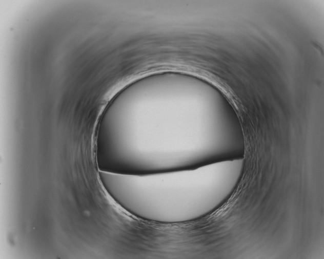 X0000097301535200802151110
