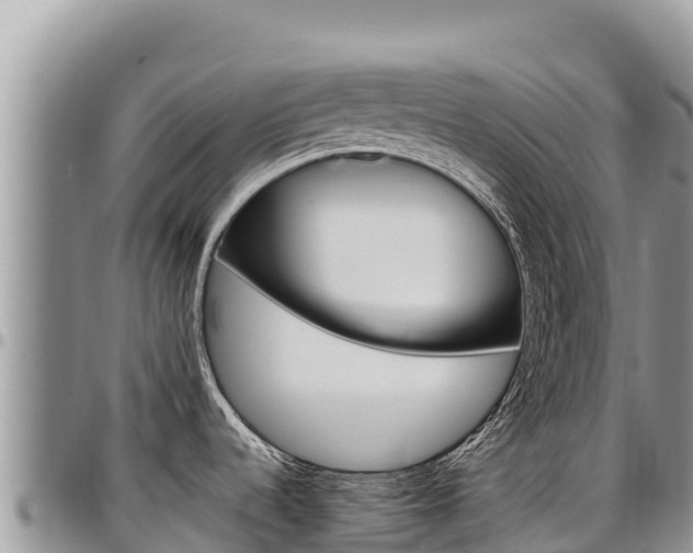 X0000097301536200802151110