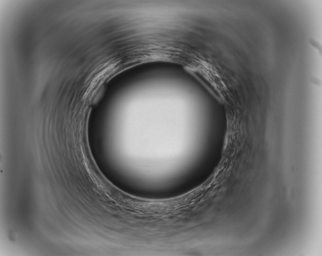 X0000097300001200802151450