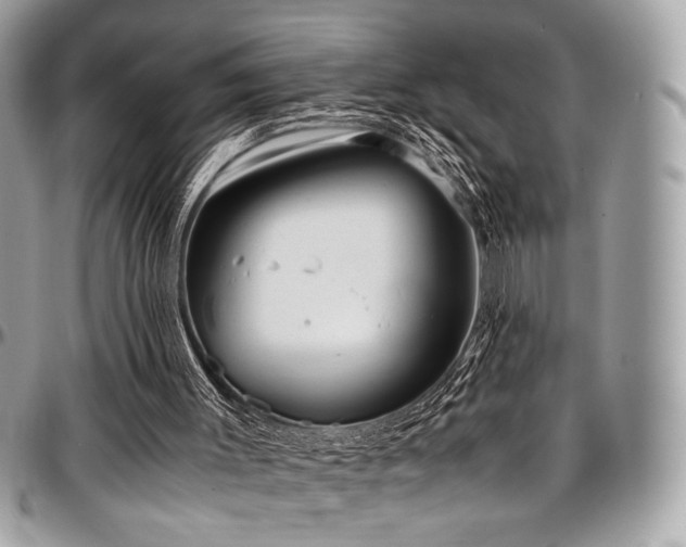 X0000097300003200802151450