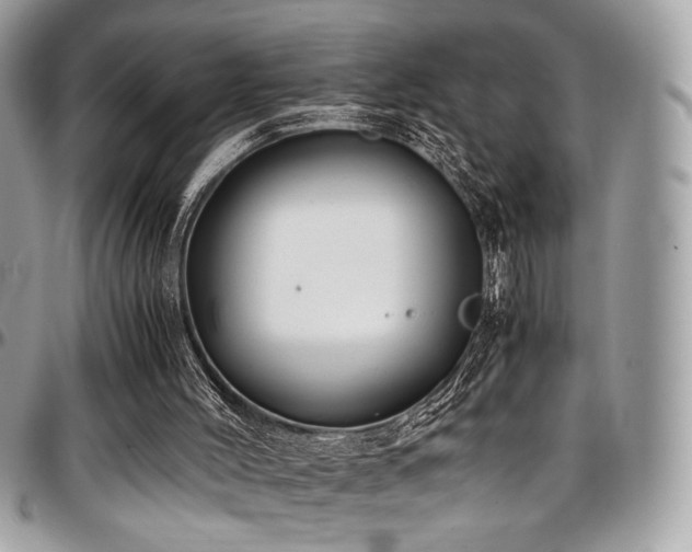 X0000097300004200802151449