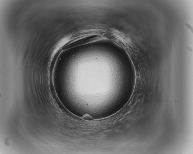 X0000097300006200802151449
